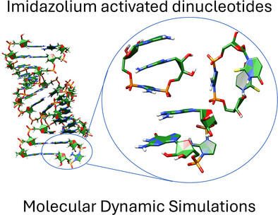 Computational Evaluation of the Binding of Activated Ribonucleotides in Nonenzymatic RNA Template Copying Issue ,
