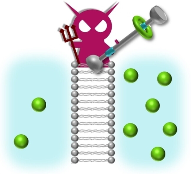 Membrane Transport, Molecular Machines, and Maxwell's Demon Issue 3, 2024