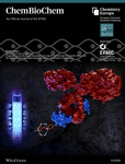 ChemBioChem