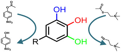 Simple Hydroxybenzene Molecules as Thermally Stable Catalysts Issue ,