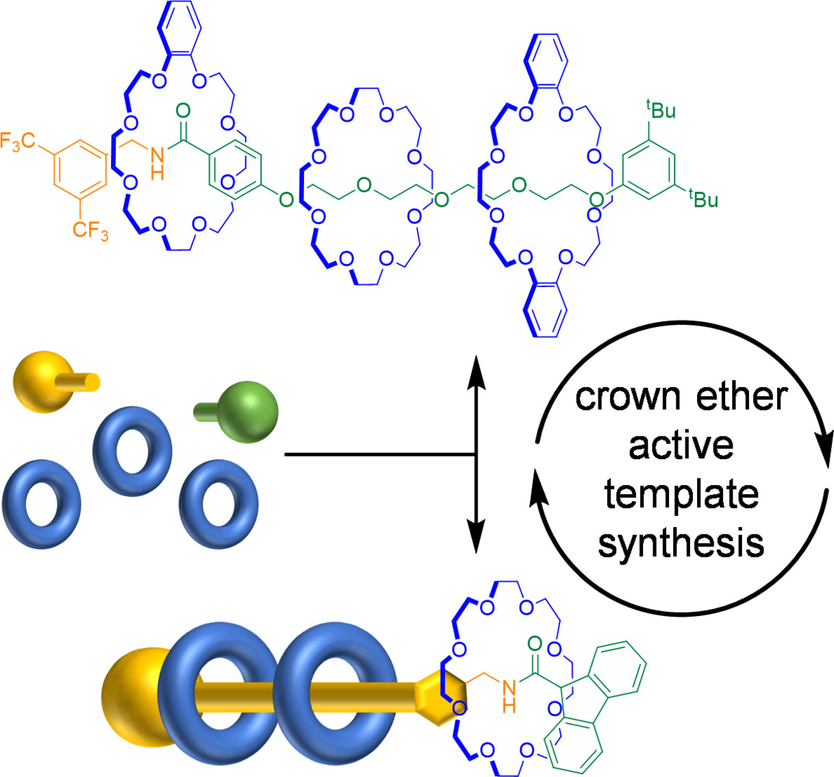Crown Ether Active Template Synthesis of Rotaxanes**
Issue 2, 2024