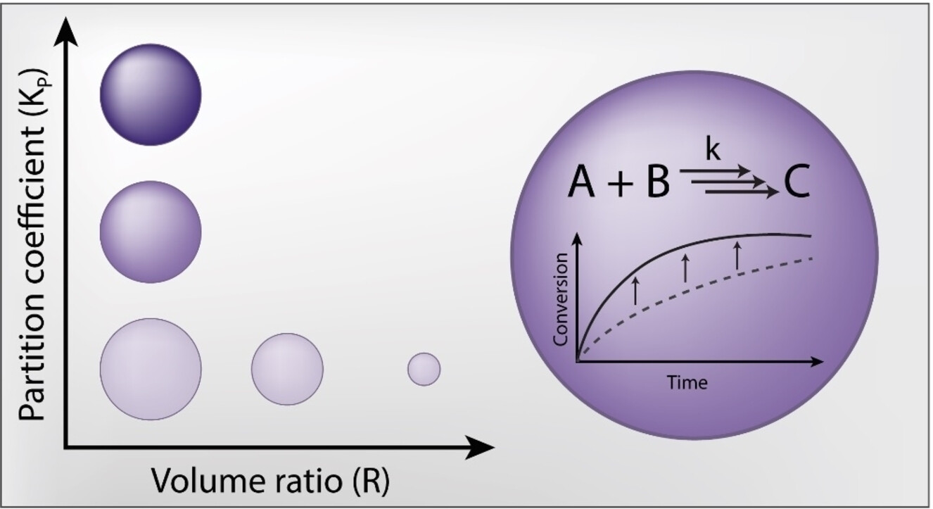 Phase-Separated Droplets Can Direct the Kinetics of Chemical Reactions Including Polymerization, Self-Replication and Oscillating Networks Issue 1, 2025