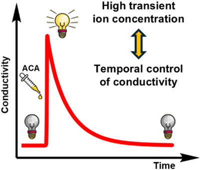 Transient Changes in Conductivity of a Water Solution by Means of an Activated Carboxylic Acid (ACA) Issue ,