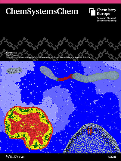 Front Cover: Nonequilibrium Membrane Dynamics Induced by Active Protein Interactions and Chemical Reactions: A Review (ChemSystemsChem 1/2025)